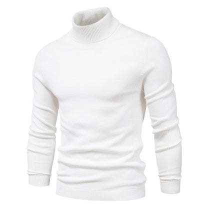 Turtleneck Viscose Pullover herren