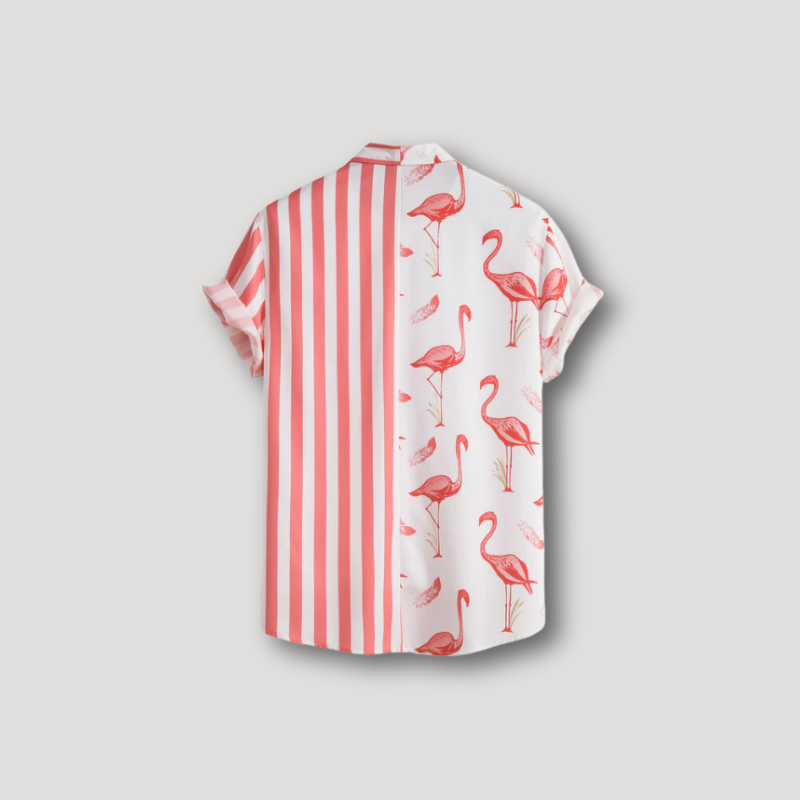 Flamingo Streep Asymmetrisch Ontwerp Kraag Shirt Mannen