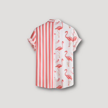 Flamingo Streep Asymmetrisch Ontwerp Kraag Shirt Mannen