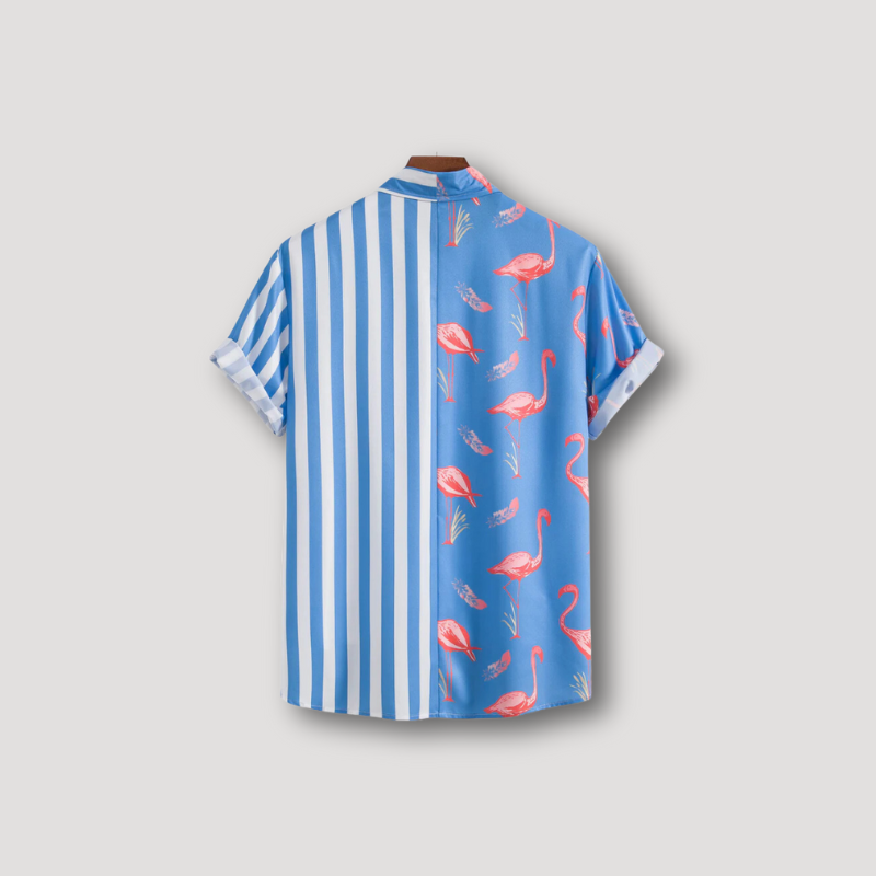 Flamingo Streep Asymmetrisch Ontwerp Kraag Shirt Mannen