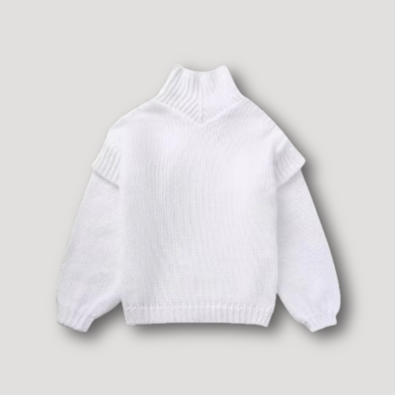 Grof Gebreid Oversized Turtleneck Trui Dames