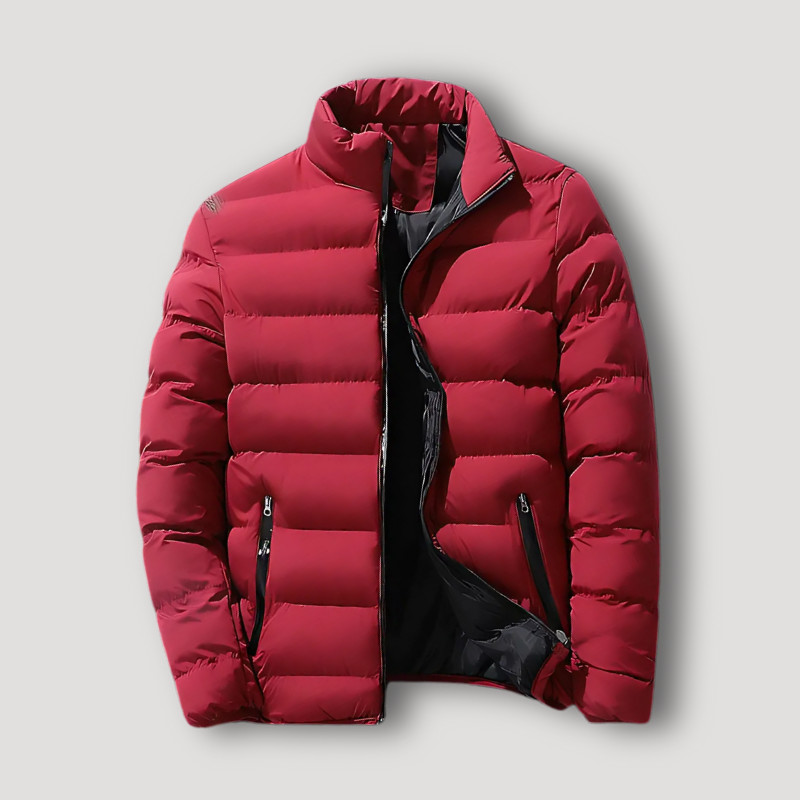 Full Zip Quilted Horizontaal Puffer Winterjas Voor Heren